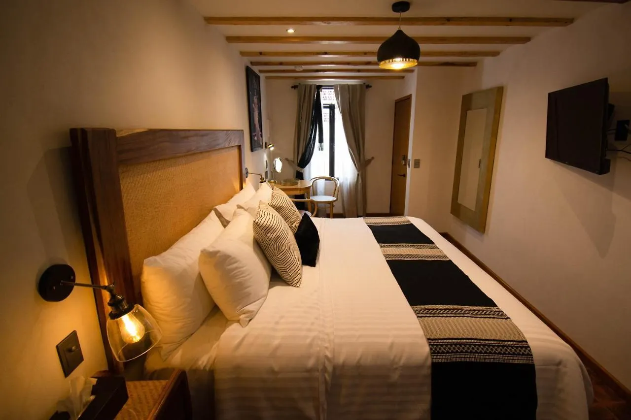 Casa Moseua Queretaro